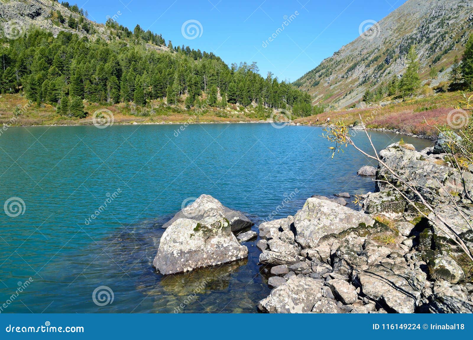 russia, altai, ust-koksinsky district, the lake poperechnoye cross in sunny weather