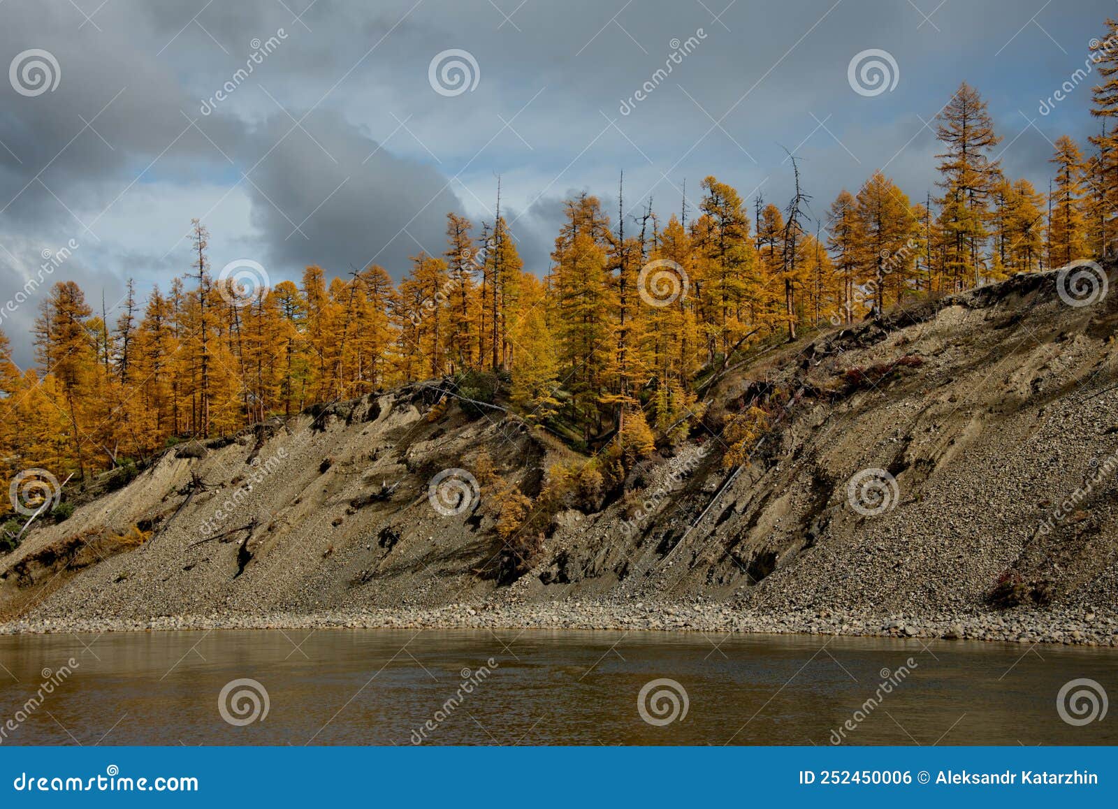 Golden Autumn Of Kolyma Stock Photo Image Of Season 252450006