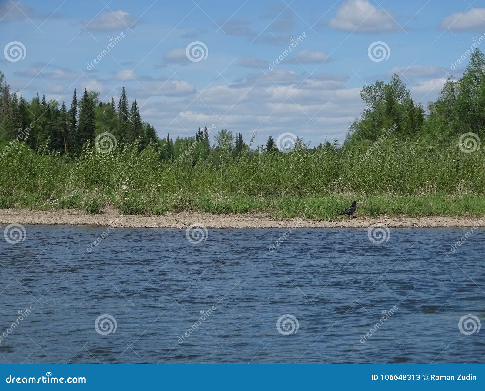 Russia The Journey To Siberia Summer Stock Image Image Of Marsh