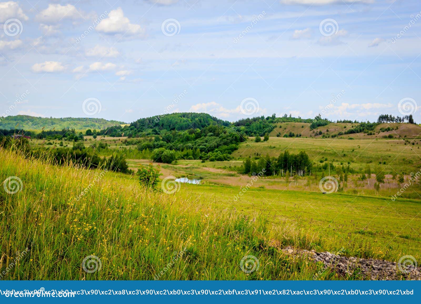 russia`s expanses, summer landscapes. open fields and rivers.