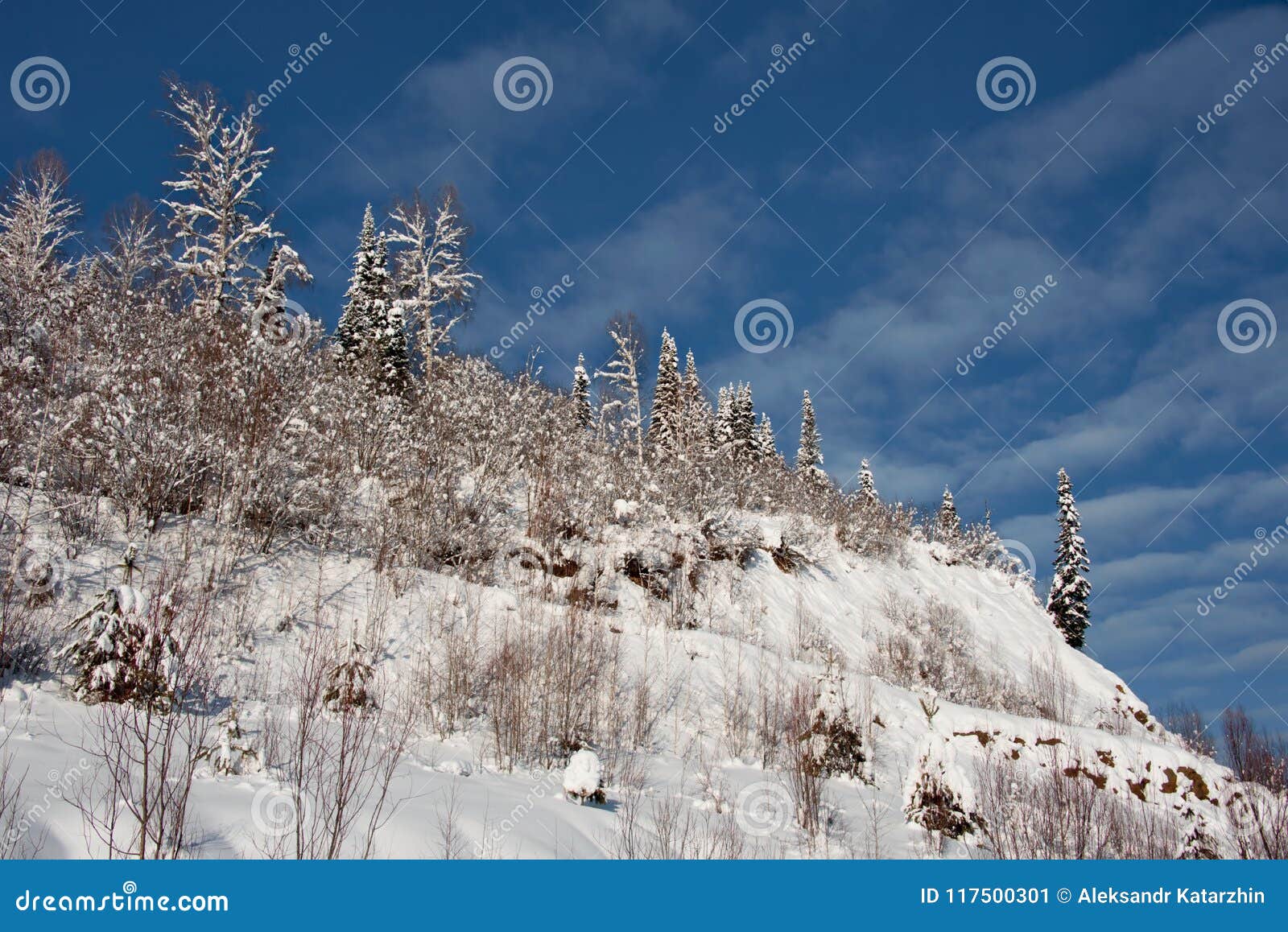 Impassable Snow Covered Siberian Taiga Stock Image Image Of Birch