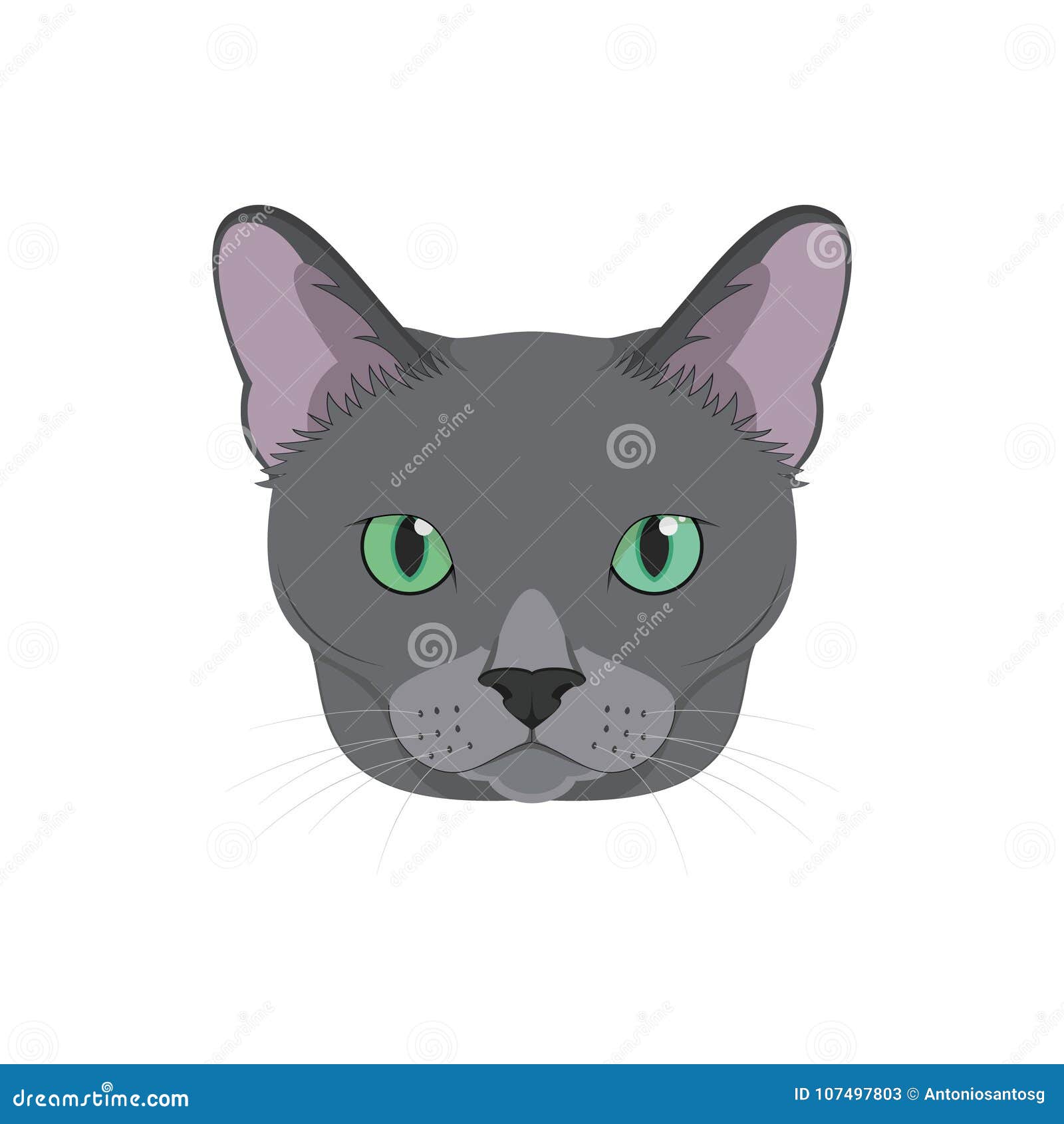 Russian Blue Cat Isolated On White Background Vector Illustration Stock Vector Illustration Of Puppy White 107497803