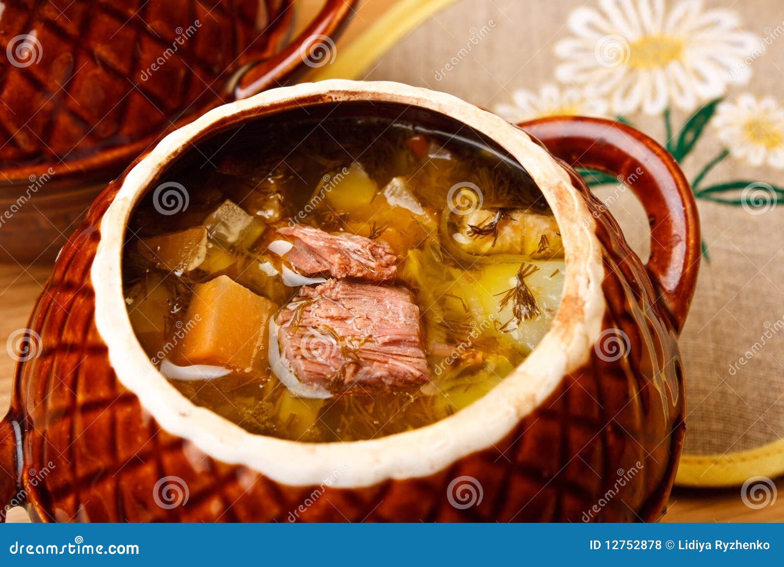 Russian Cabbage Soup with Beef Stock Photo Image of lunch, single