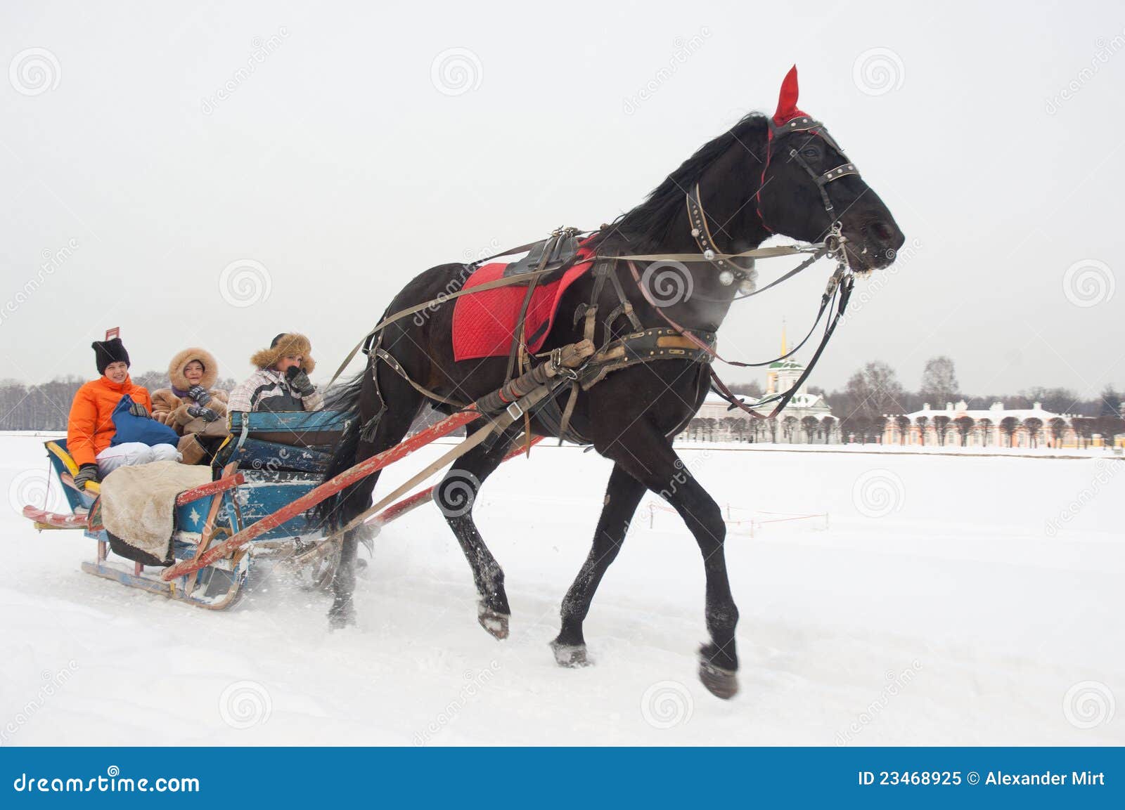 Russian hourse riding editorial image picture