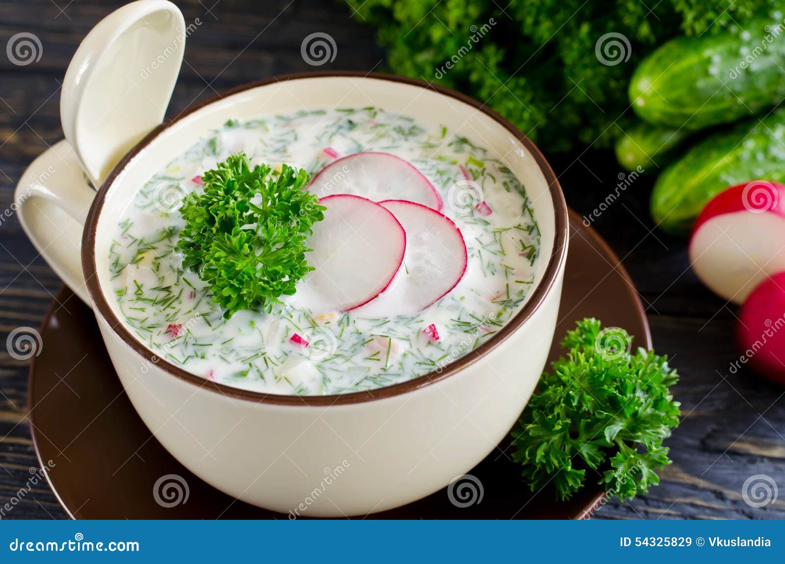 Russian Spring and Summer Cold Soup with Kefir Stock Image Image of