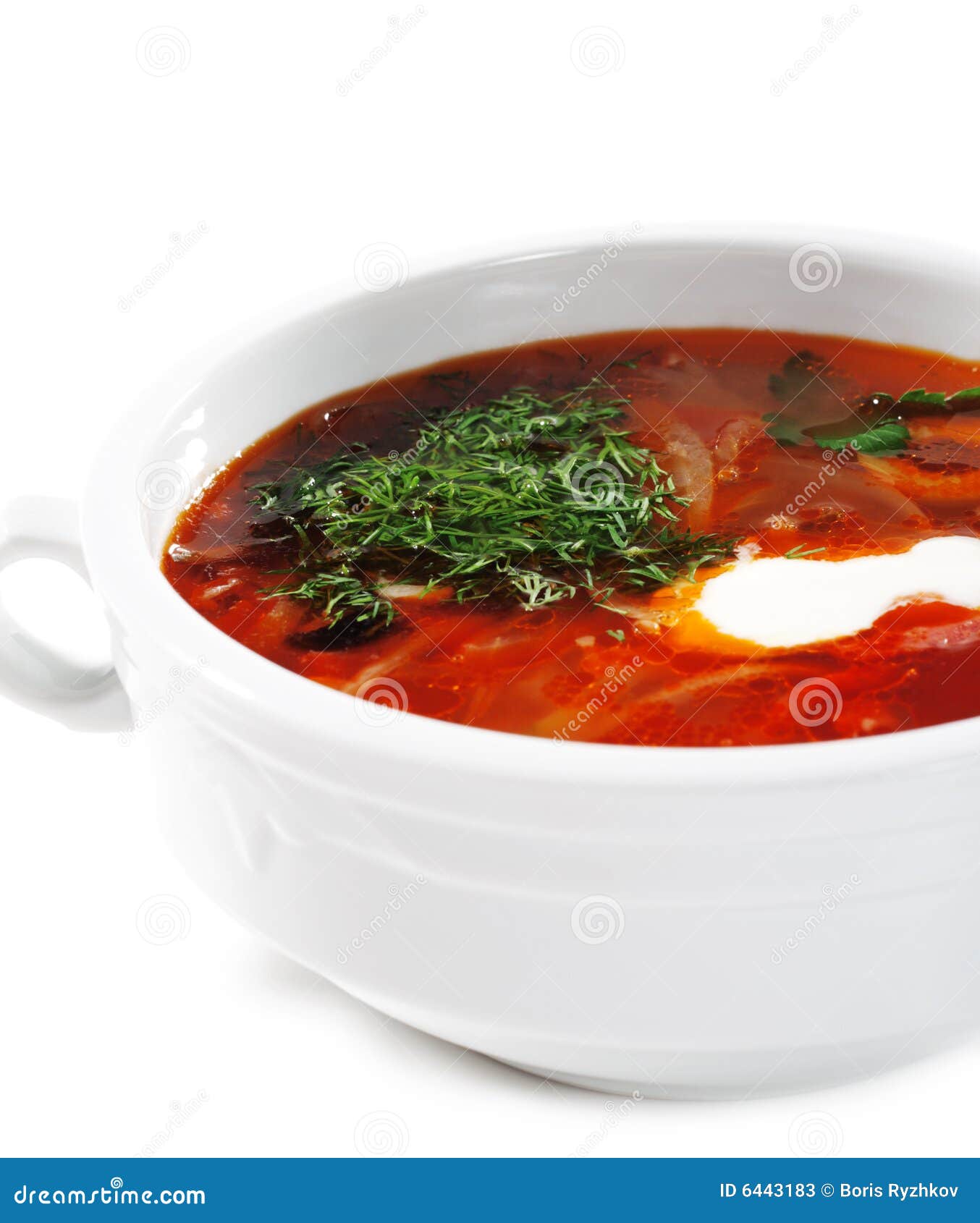 Russian and Ukrainian Cuisine - Soup Solyanka Stock Image - Image of ...