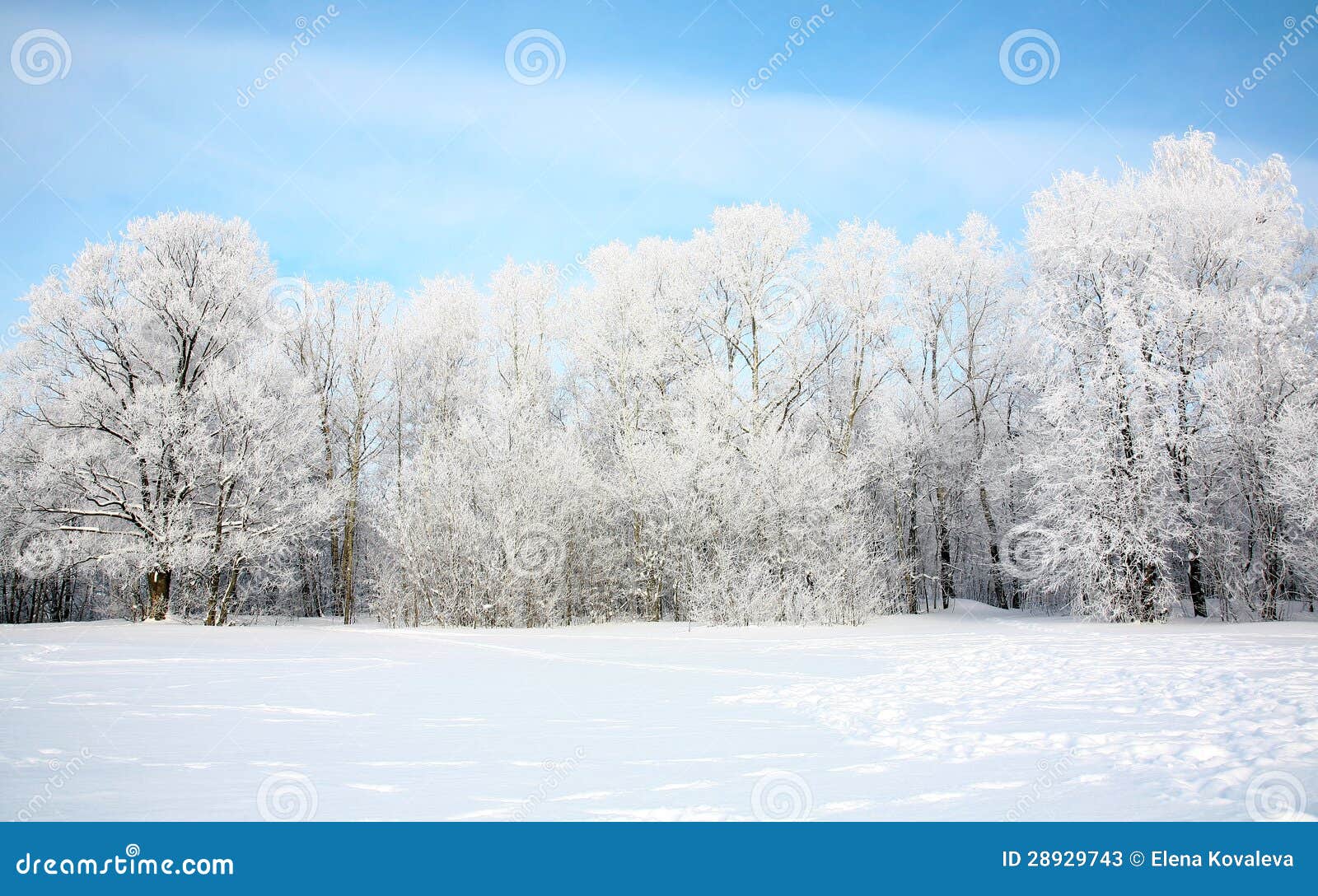 russian winter in january