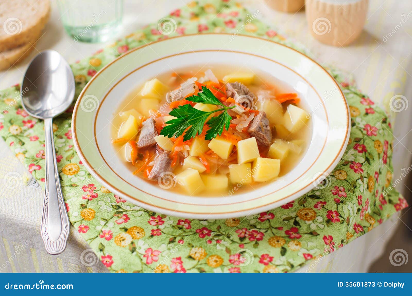 Russische Sauerkraut-Suppe, Shchi (Stchi) Stockbild - Bild von deutsch ...