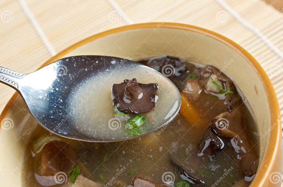 Russische Sauerkrautsuppe Mit Pilzen Stockbild - Bild von kartoffel ...