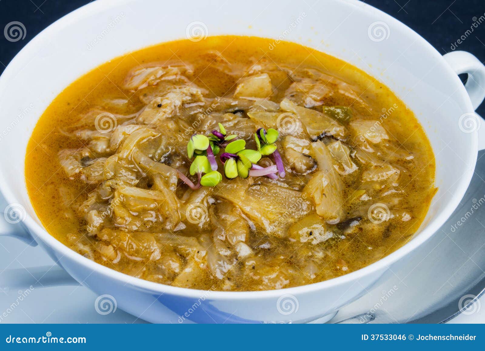 Russische Suppe Soljanka stockfoto. Bild von platte, wirsingkohl - 37533046