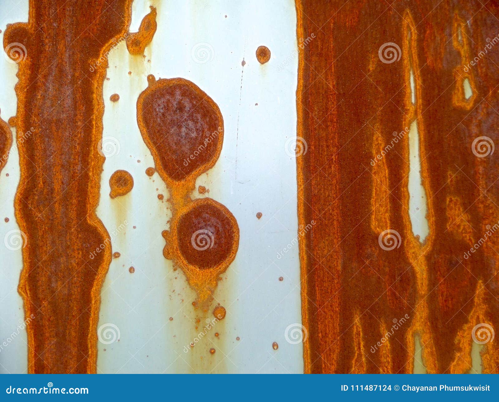 Can metal rust in water фото 114
