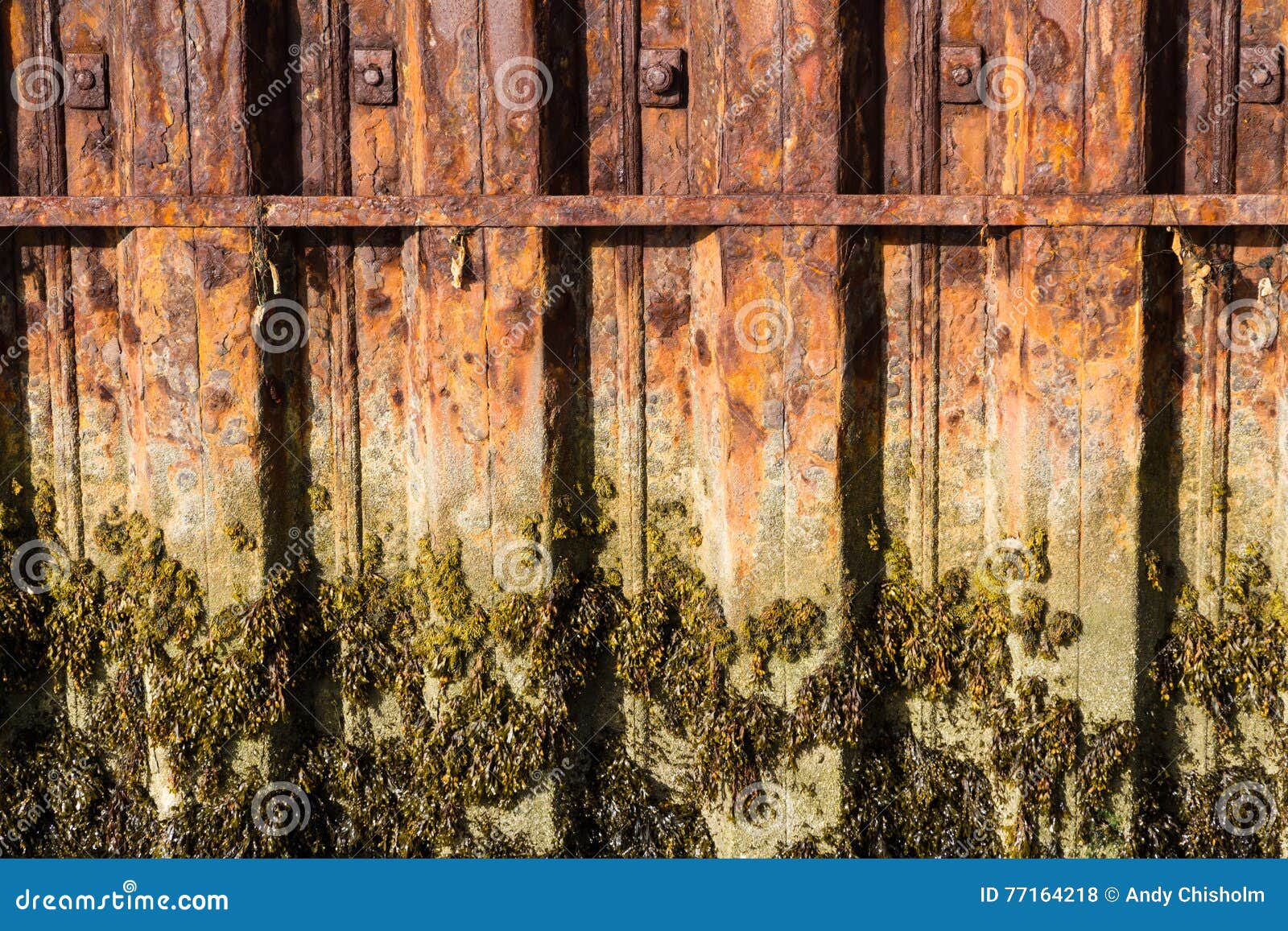 Rust Iron Girders Forming Part of Harbour Wall with Seaweed and Stock