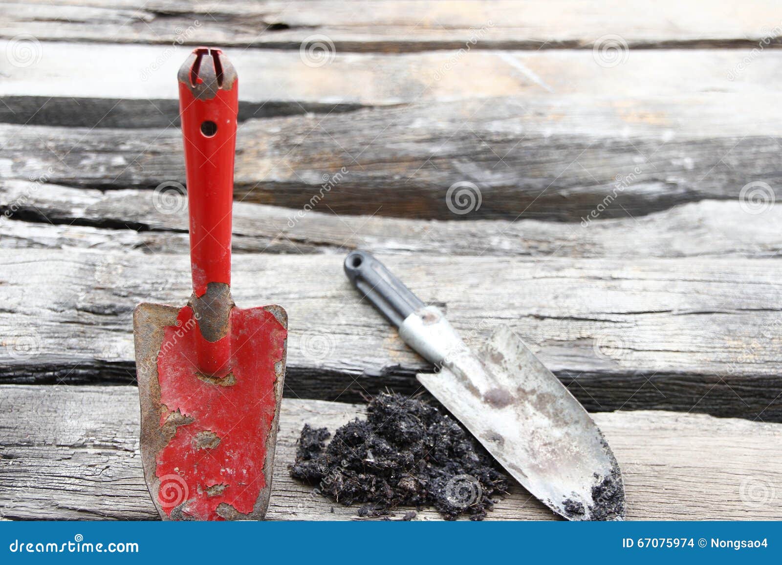 Rust Spades on Wooden Floor Stock Photo Image of nature, crop 67075974