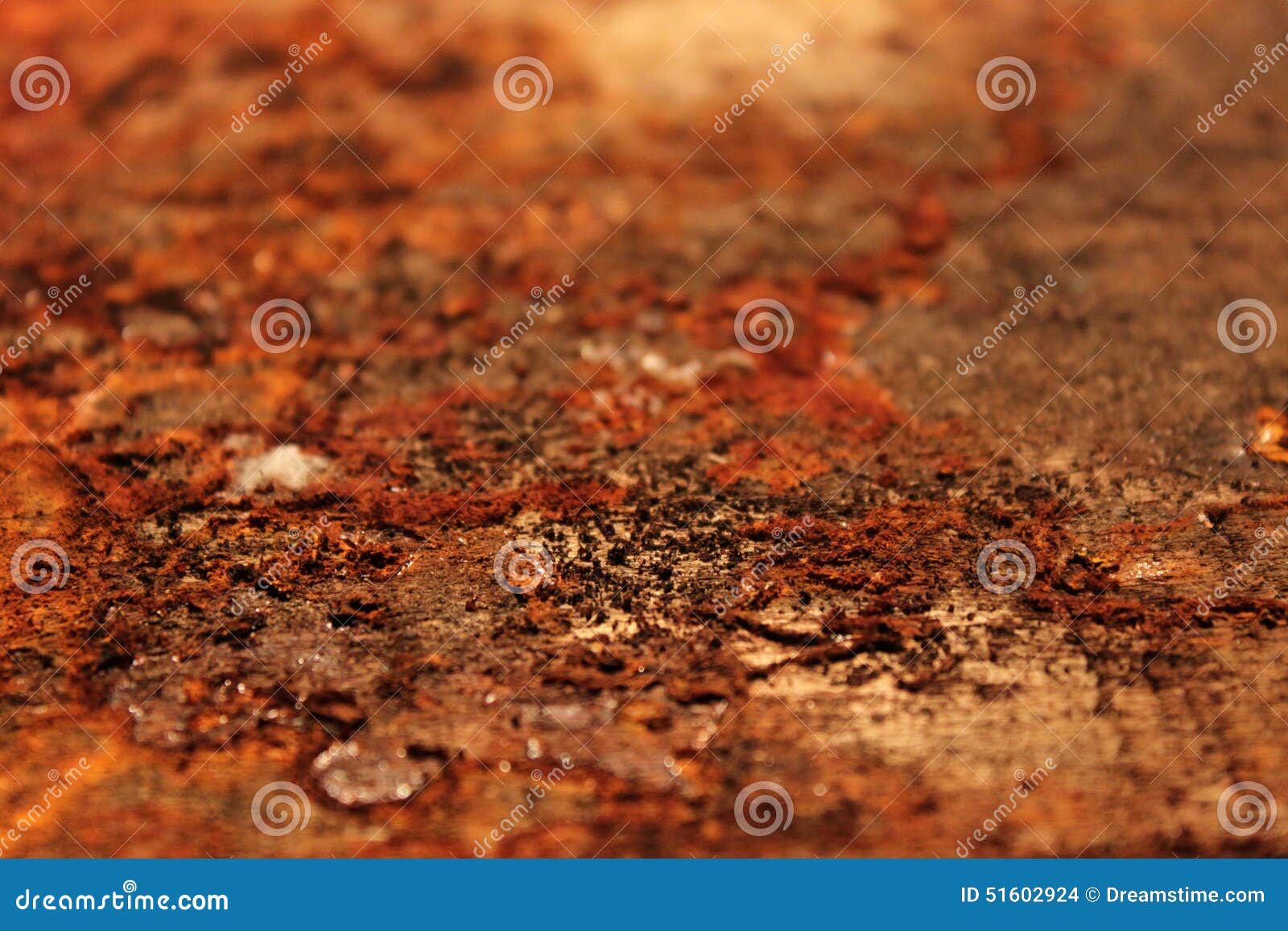 Rust on wood фото 1