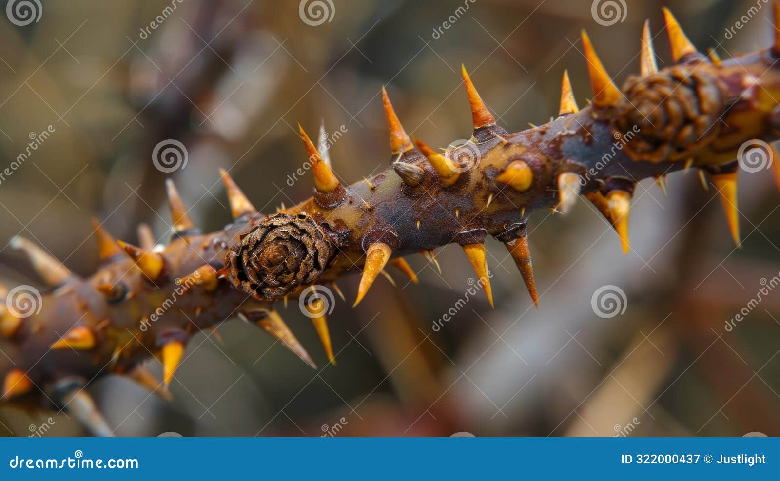 rustcolored spikes emerging from a rugged stem creating a textured surface that is both alluring and dangerous
