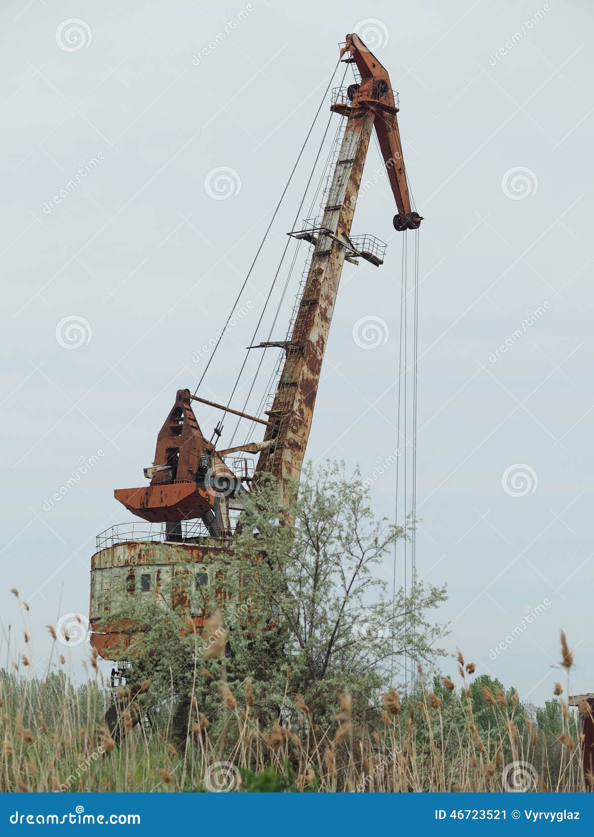 reeds ship construction reeds ship construction