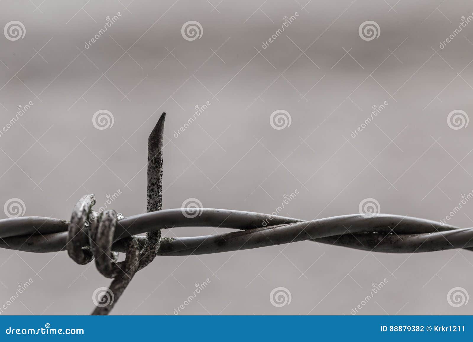 Rusted dangerous wire stock photo. Image of danger, barb 88879382