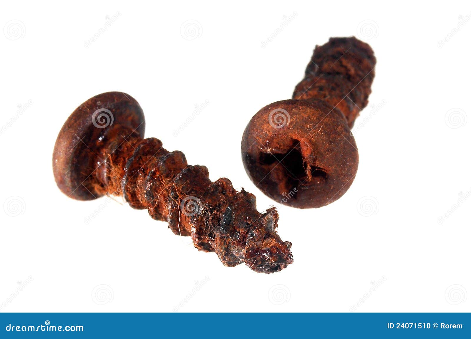 Rusted screws stock photo. Image of construction, white 24071510