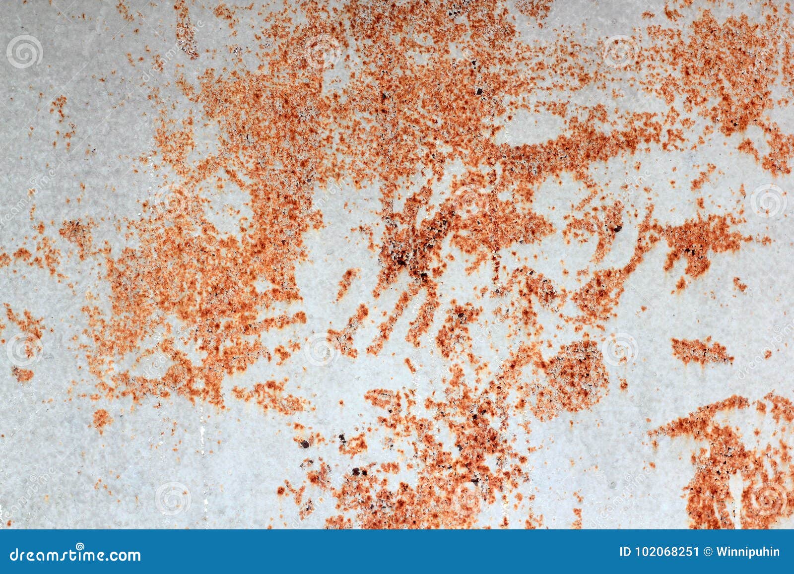 Do metals rust фото 54