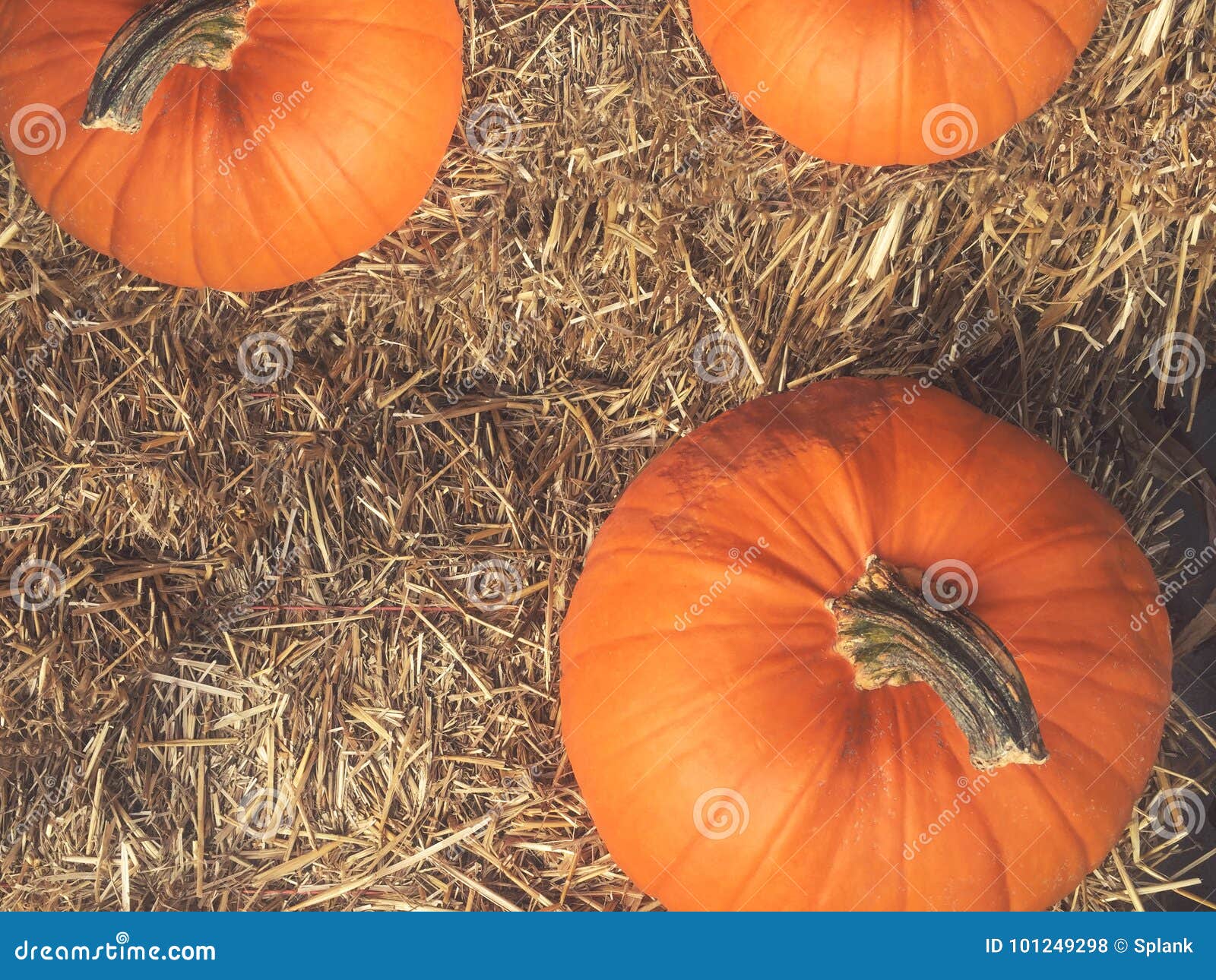 rustic fall pumpkins and hay background from directly above