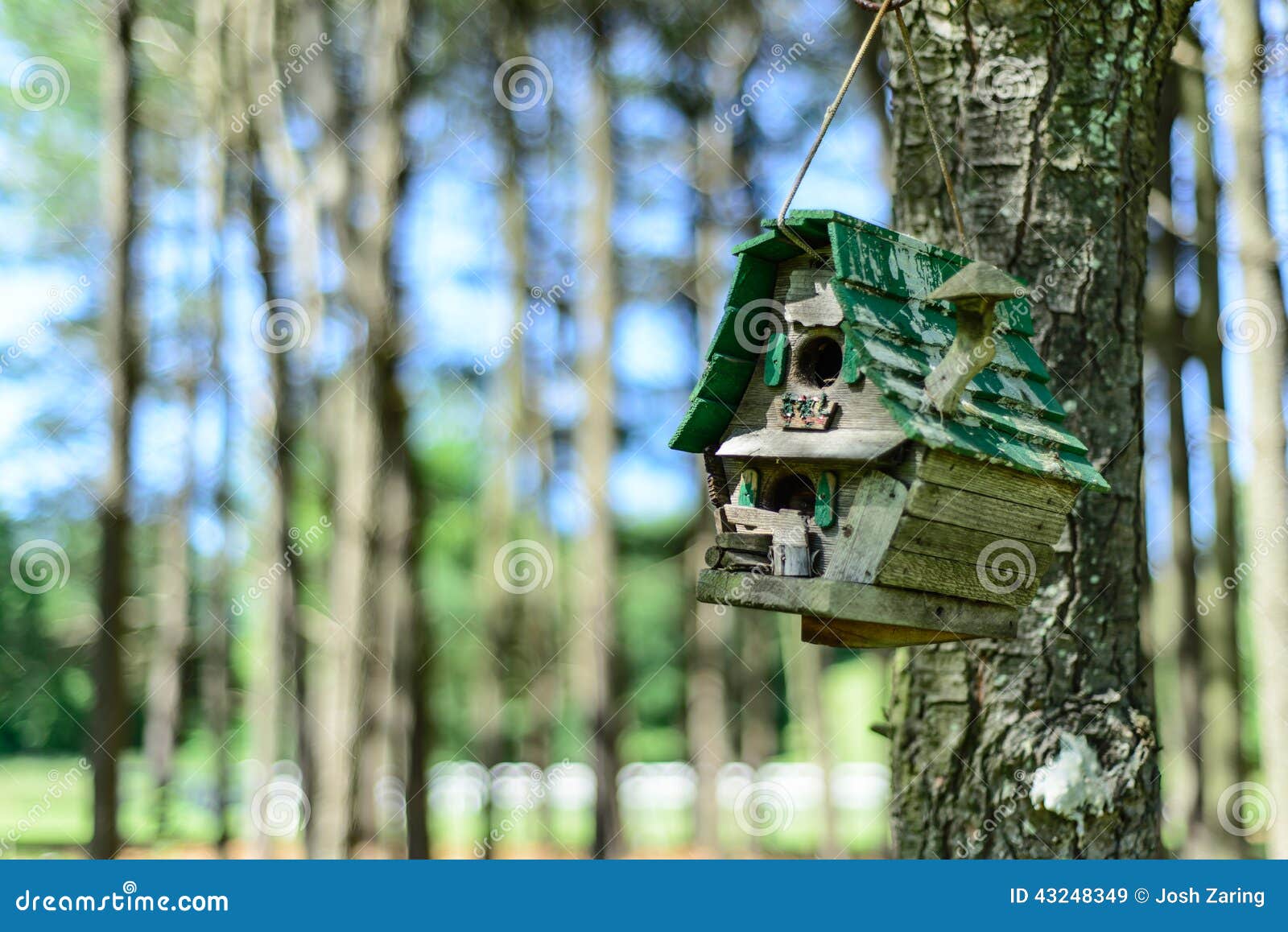 Rustic Birdhouse stock image. Image of forest, birdhouse 43248349