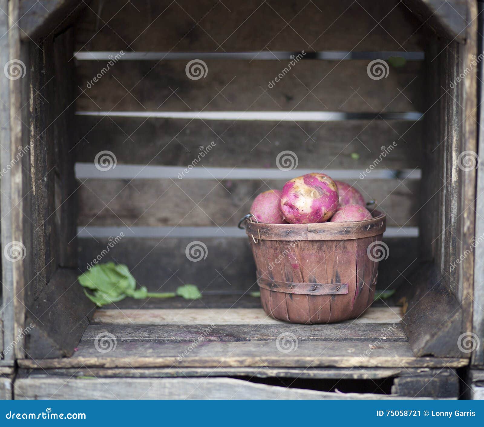 Rustic Bushel of Red Potatoes Stock Image Image of closeup, large