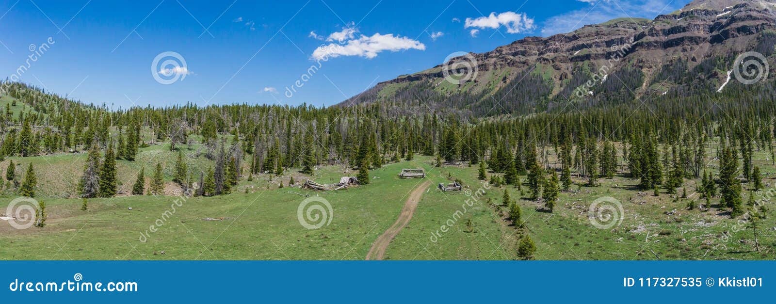 Rustic Cabin Structures In Pine Forest Stock Image Image Of