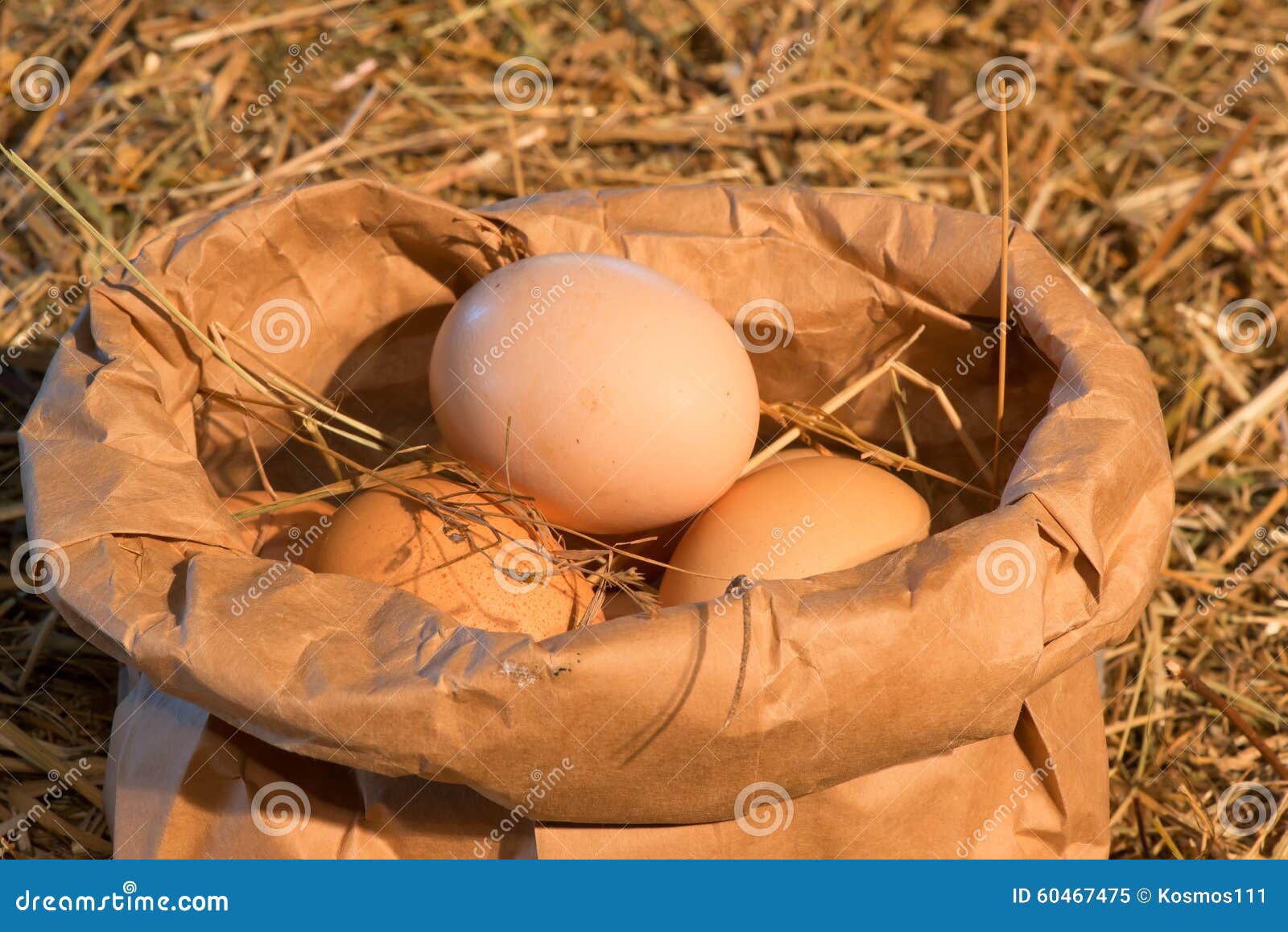 Rust chicken egg (119) фото