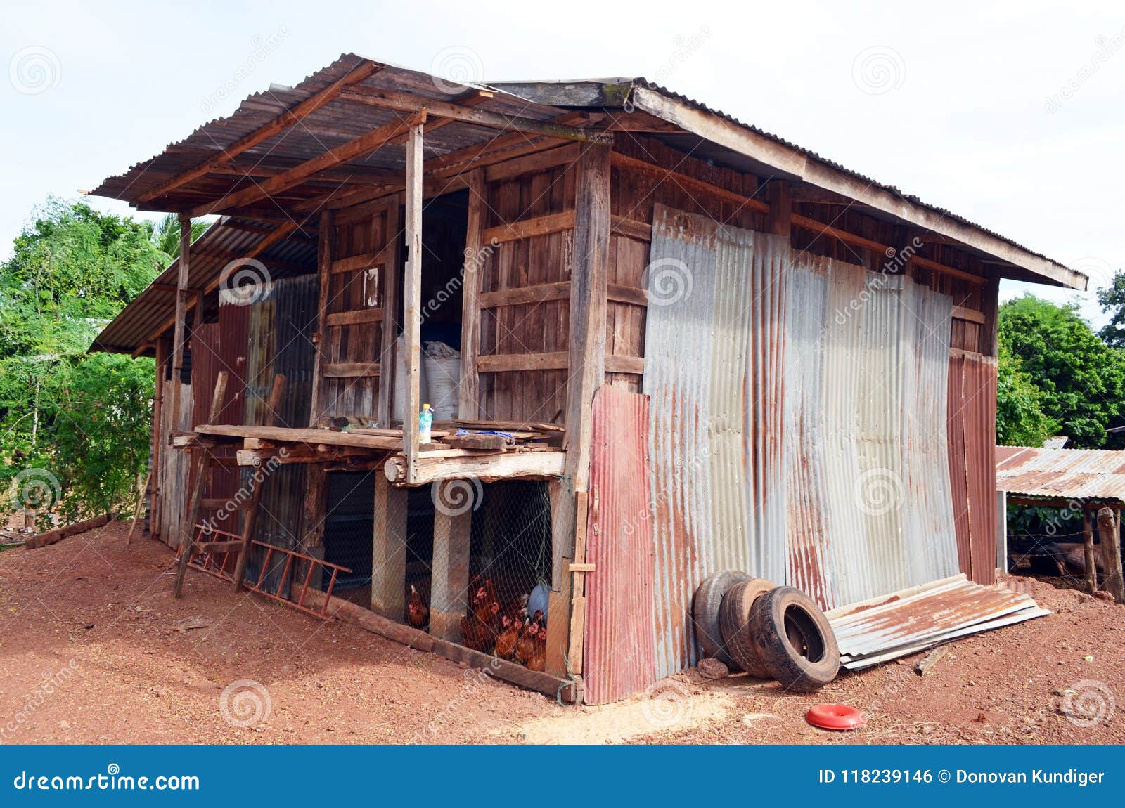 this rustic corrugated tin and wood building serves as a chicken coop in north central thailand.