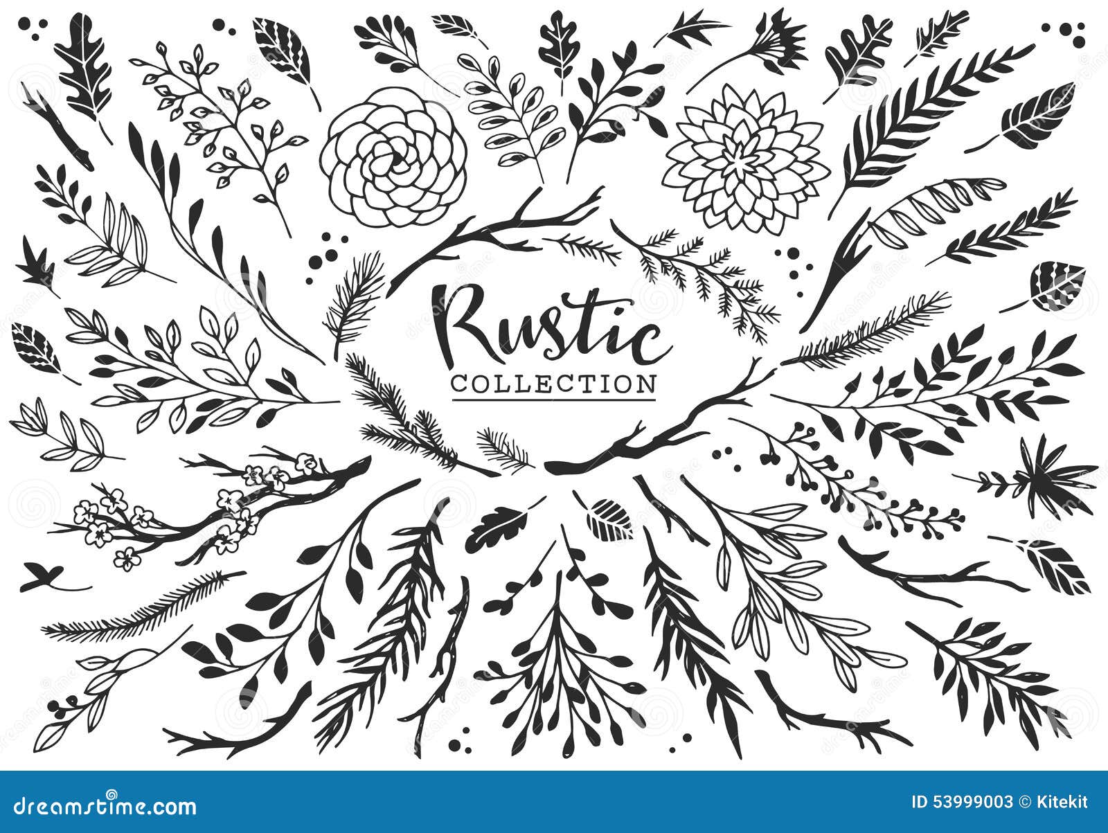 rustic decorative plants and flowers collection. hand drawn.