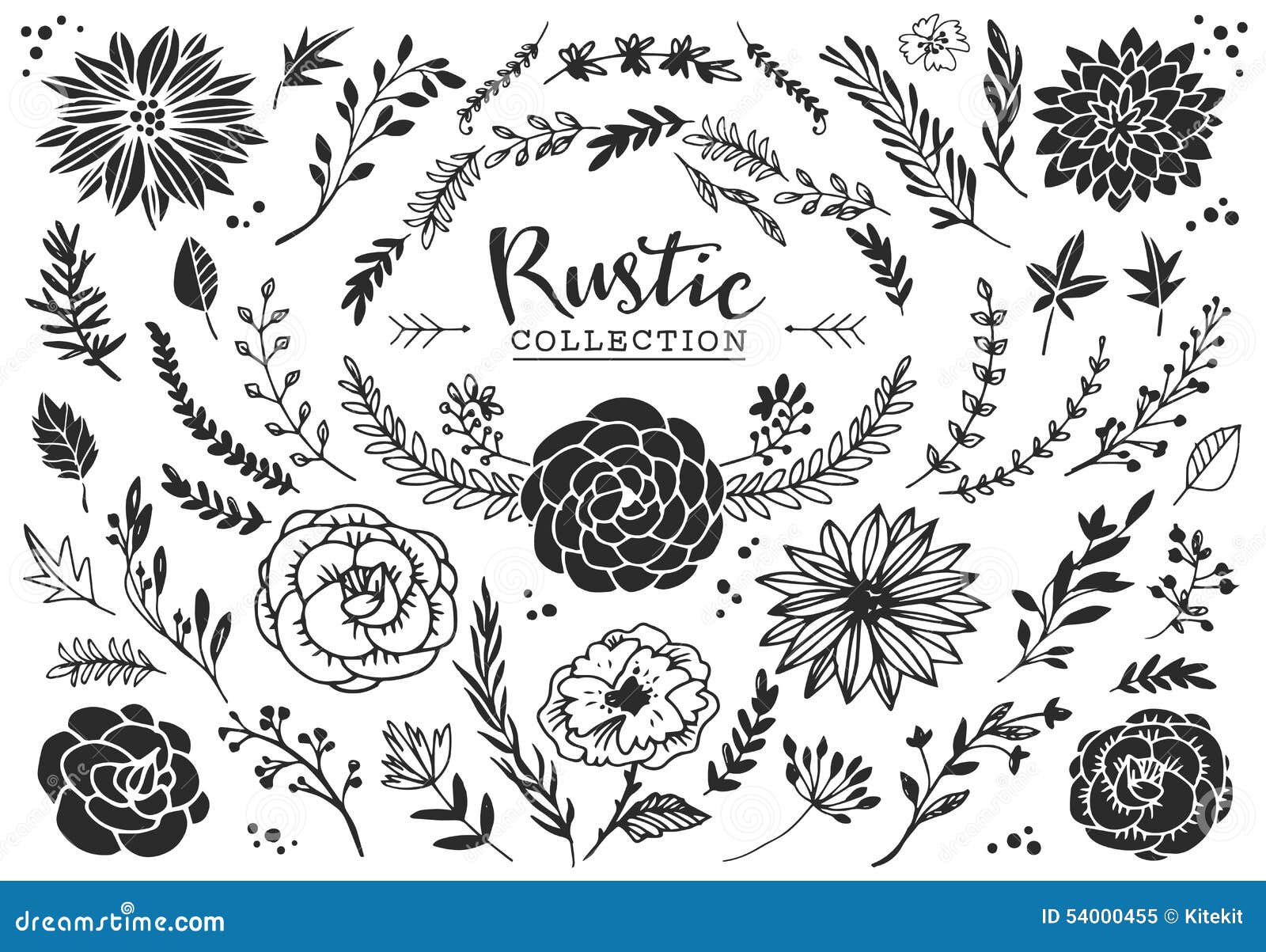 rustic decorative plants and flowers collection. hand drawn