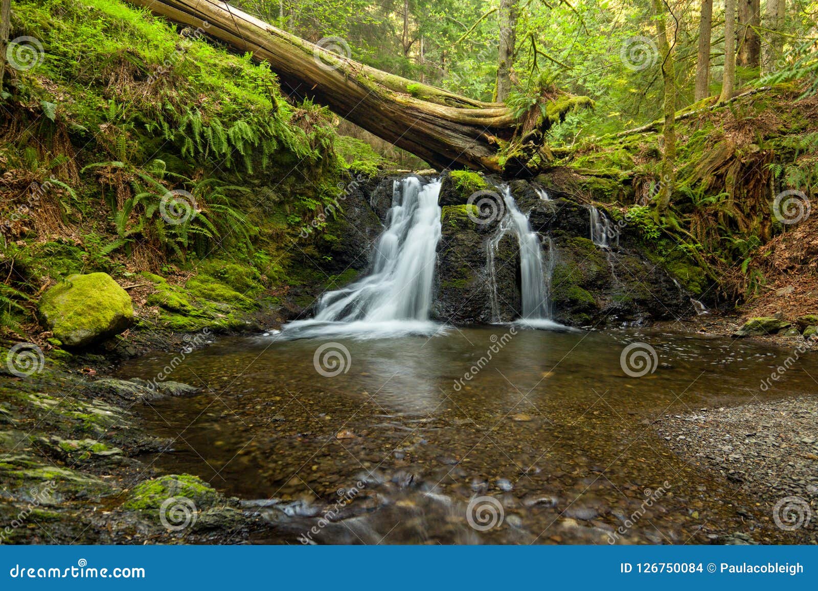 rustic falls on orcas island in the san juan islands, washington