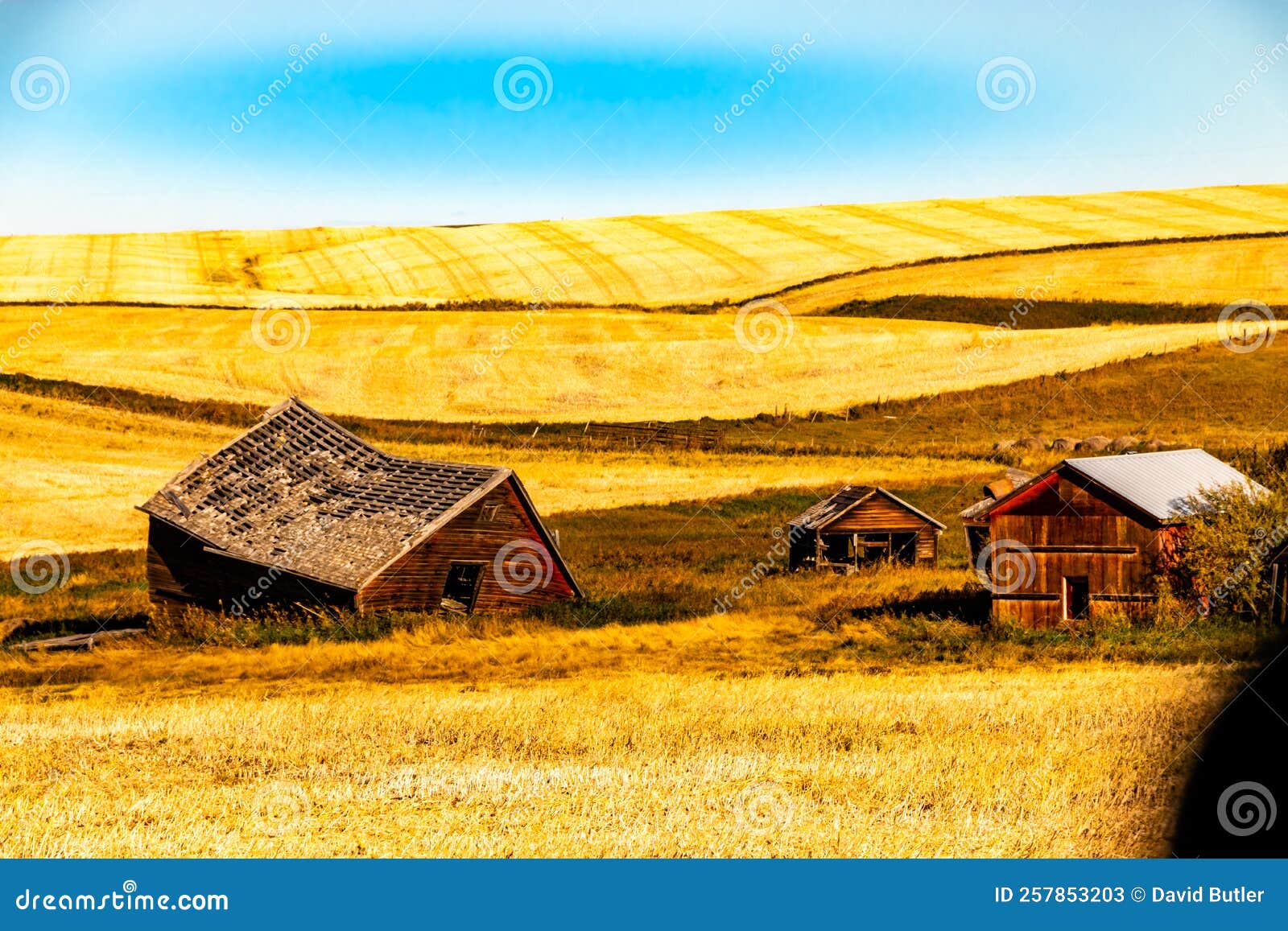 Rustic Farm Out Buildings. Kneehill County, Alberta, Canada Stock Image