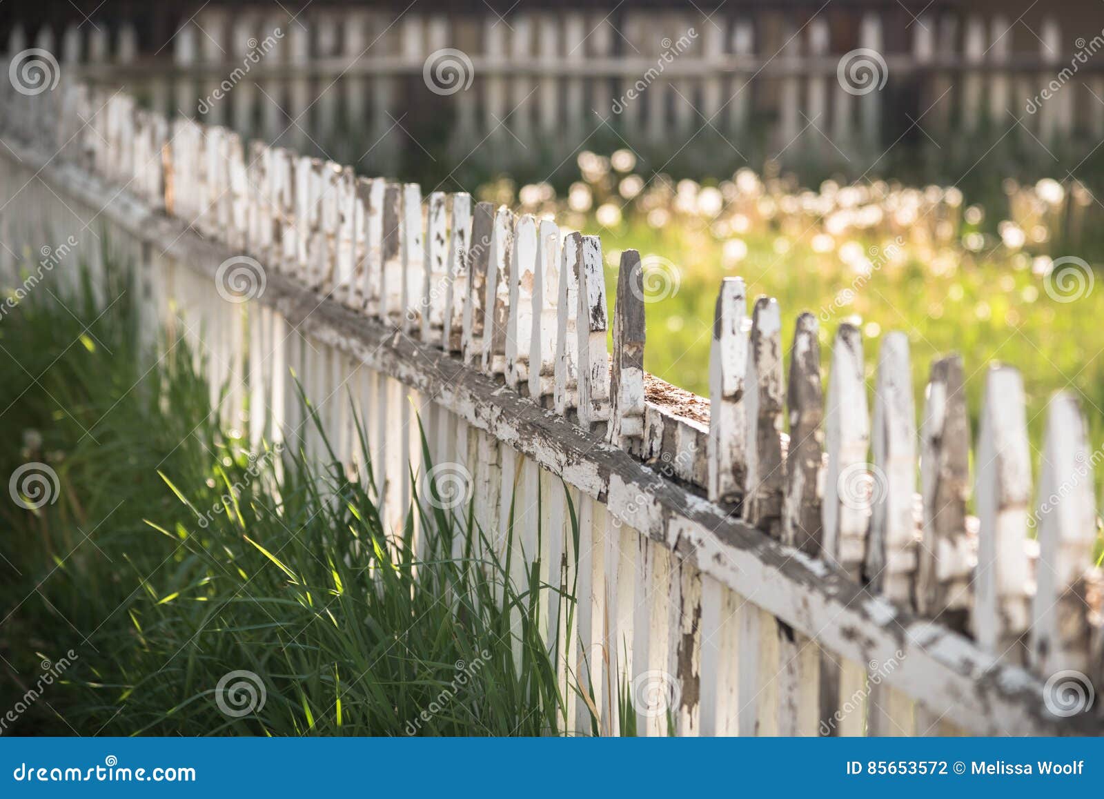 rustic fence and unkempt