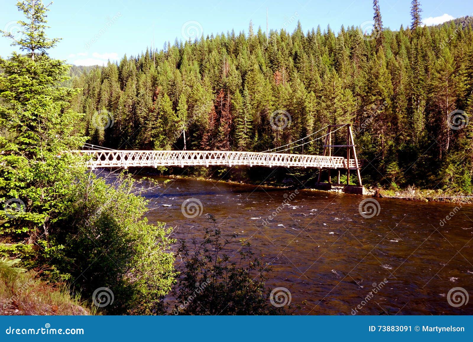 rustic foot bridge - idaho wilderness
