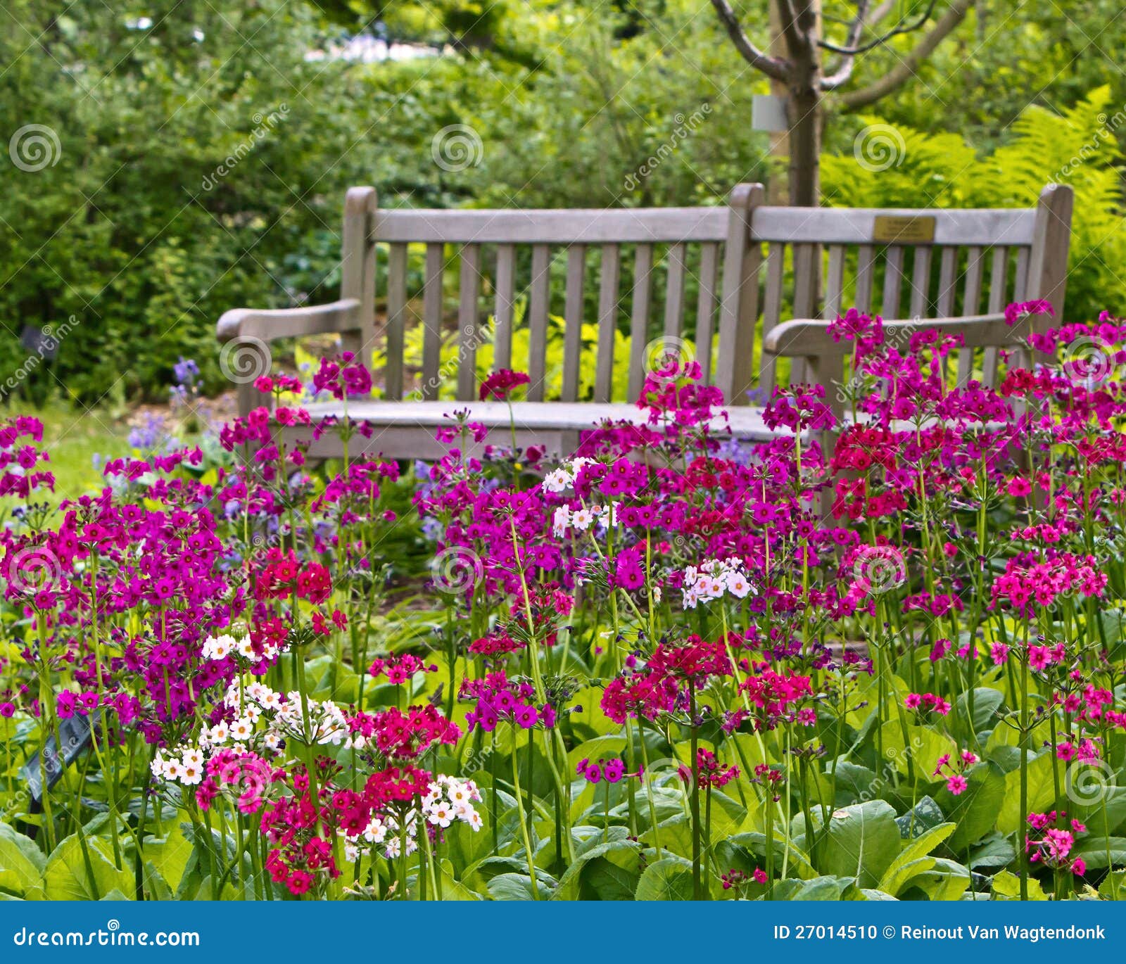 rustic garden bench