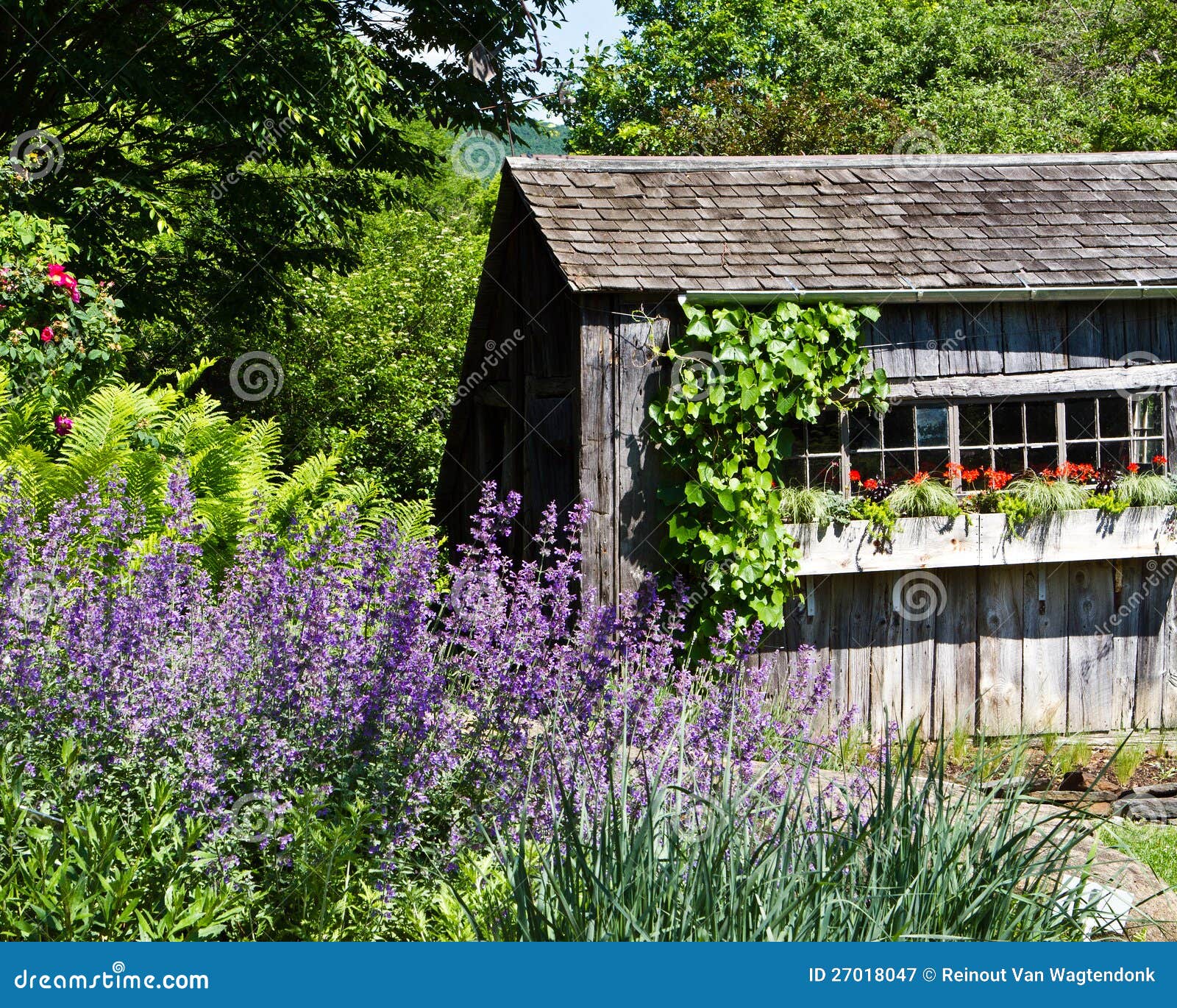 Rustic Garden Shed With Flower Boxes Stock Image - Image 