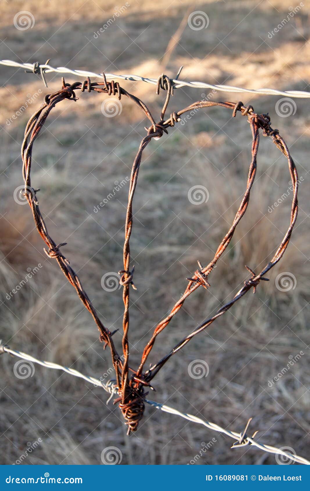 Barb Wire Rustic Heart Wedding Garden Decor Barbed  Wire 