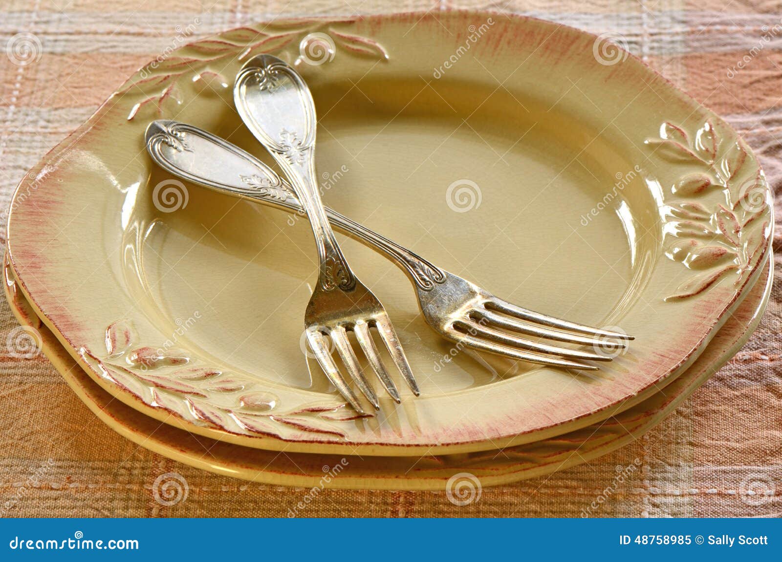 Rustic plates and forks stock image. Image of closeup 48758985