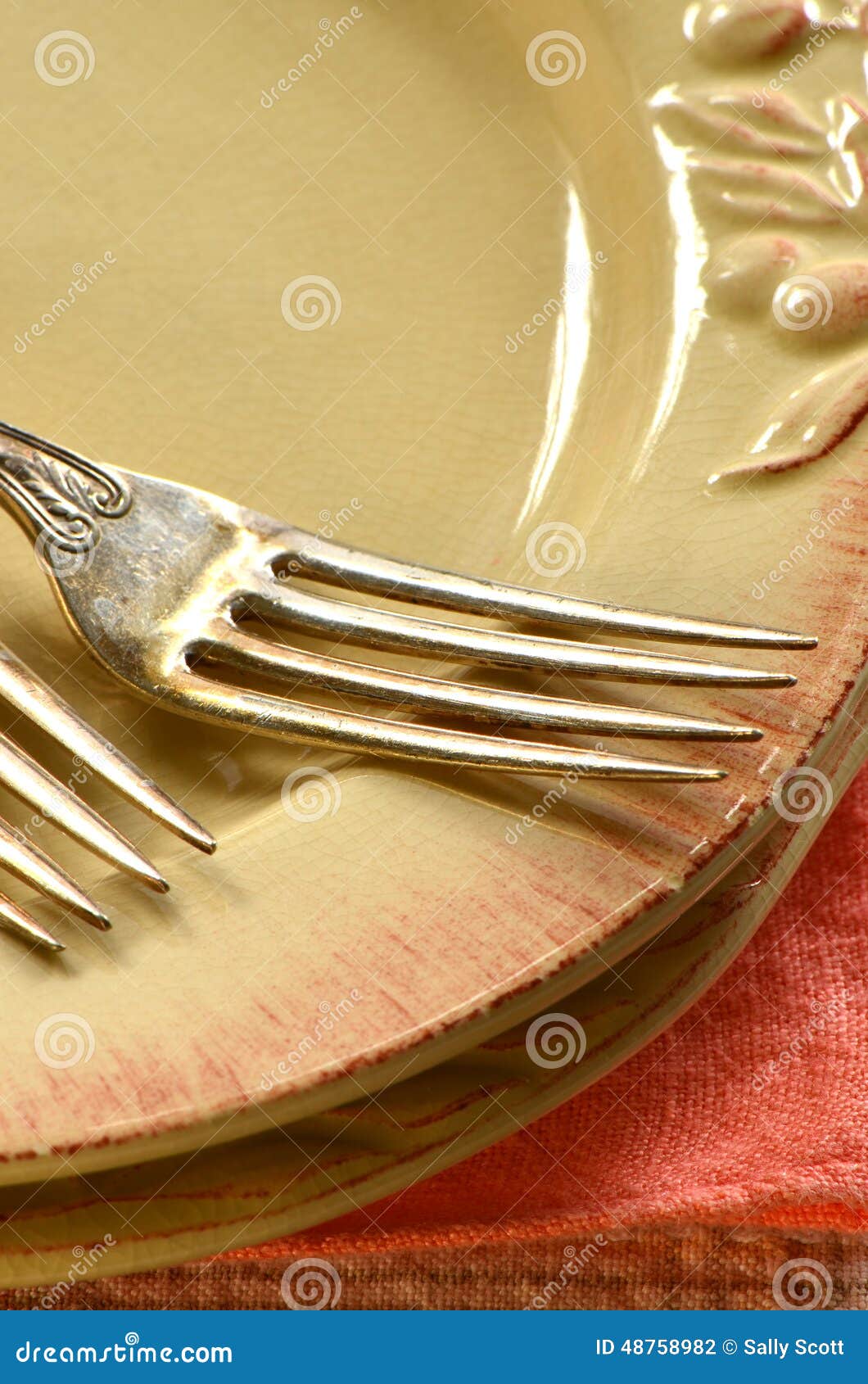 Rustic plates and forks stock photo. Image of design 48758982