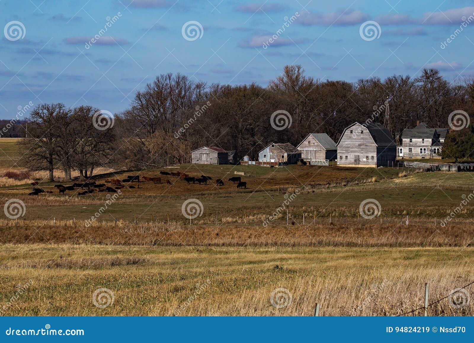 Rustic Rural Iowa Farm. stock image. Image of farming 94824219