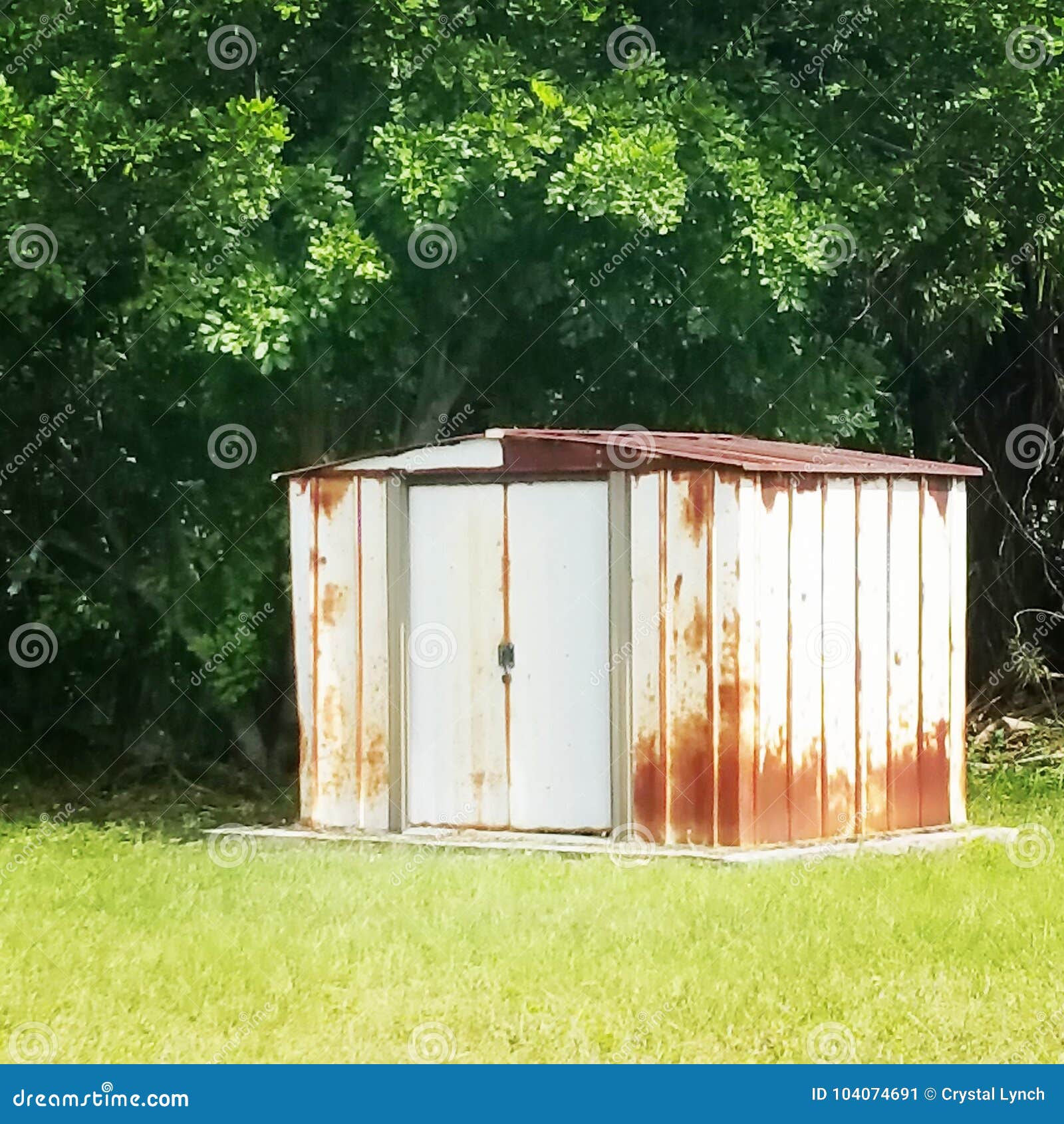 Rustic Shed stock image. Image of trees, rusty, surrounded 104074691