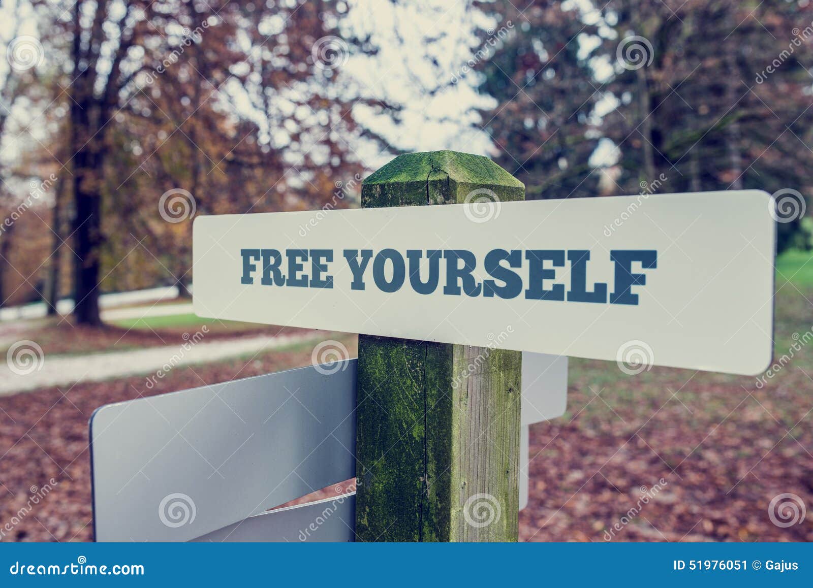 rustic signboard outdoors in an autumn park with words free your