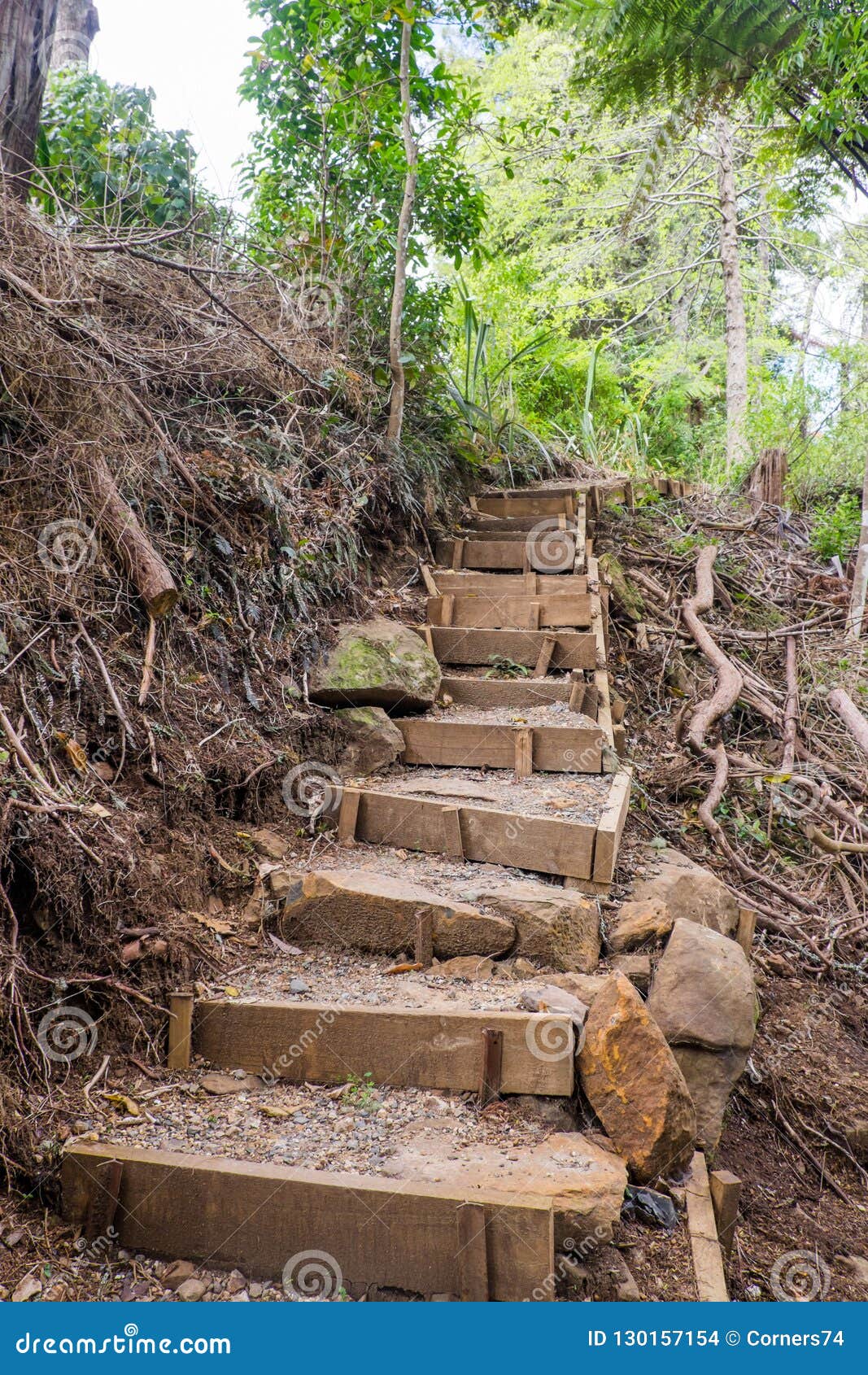 Rustic Stairs with Steep Steps on Walking Trail To Wairoa Stream Stock  Photo - Image of north, steep: 130157154