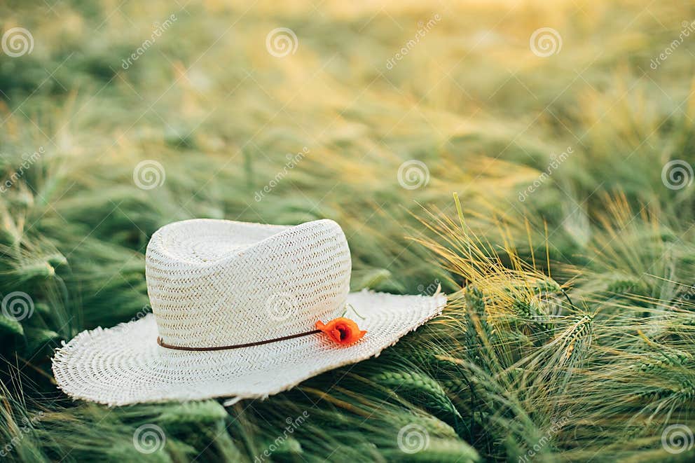 Rustic Straw Hat and Red Poppy on Barley Ears in Evening Field Close Up ...