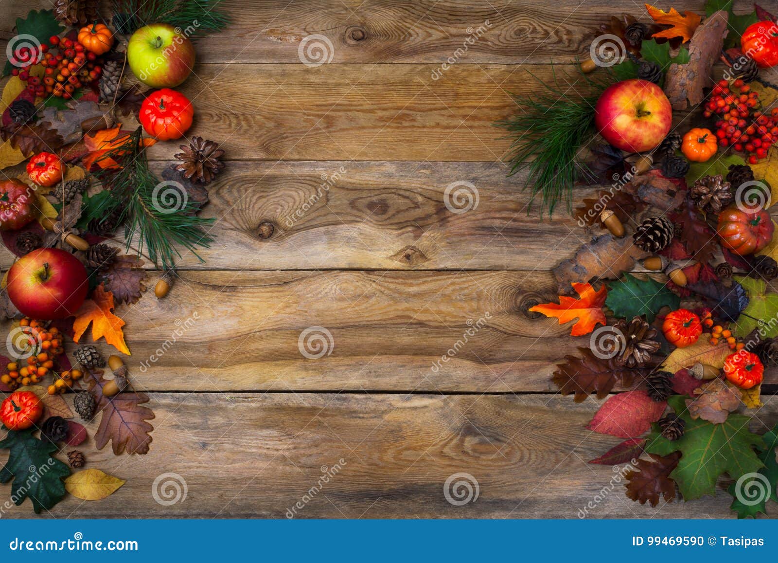 Rustic Thanksgiving Decoration with Pumpkins and Cones Stock Photo ...