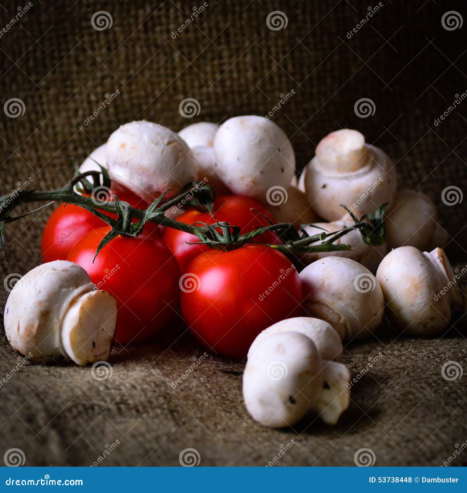 Rustic Tomatoes and Mushrooms. Stock Photo Image of messy, earthy