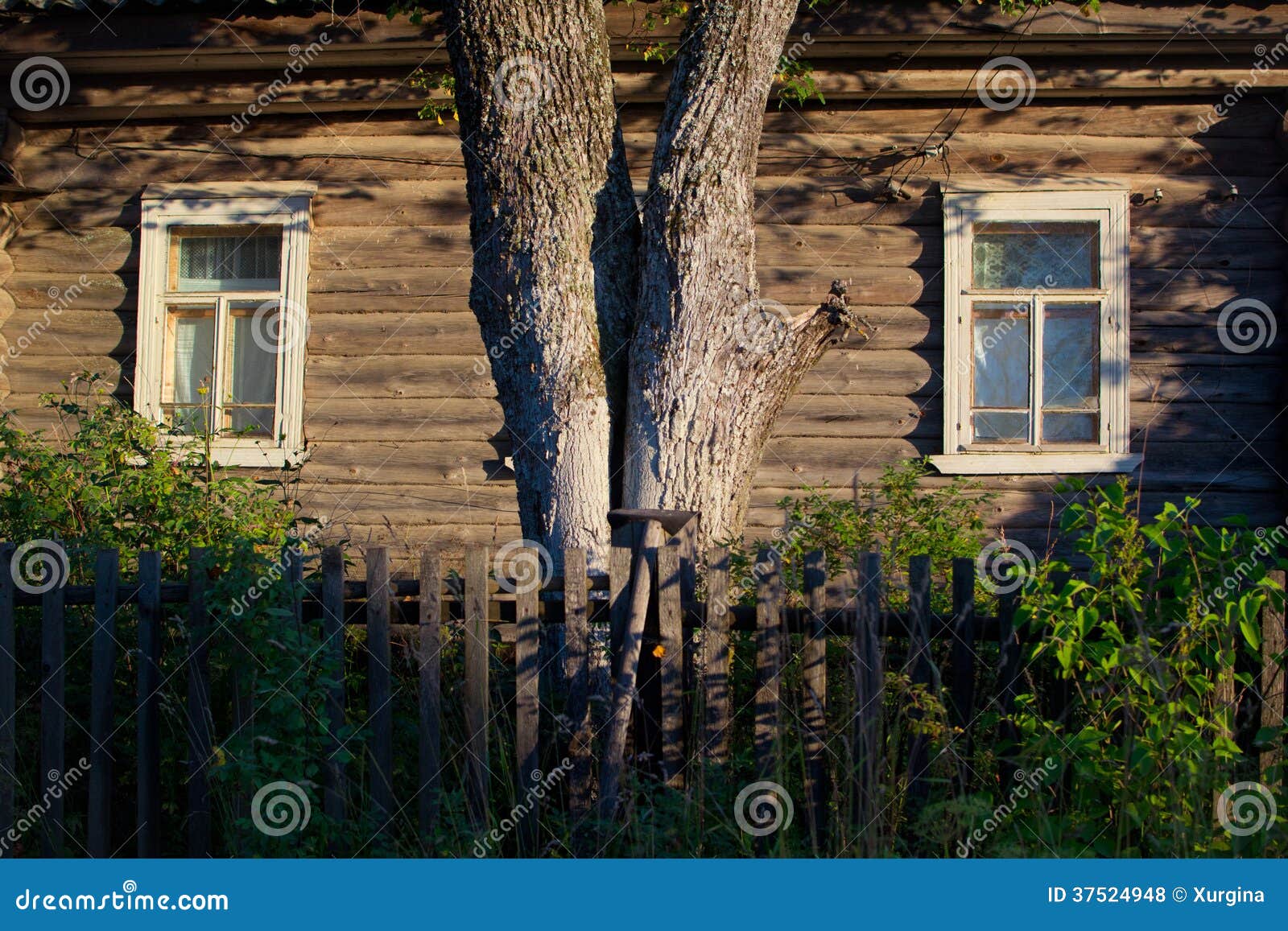 The rustic village house stock photo. Image of fence 37524948