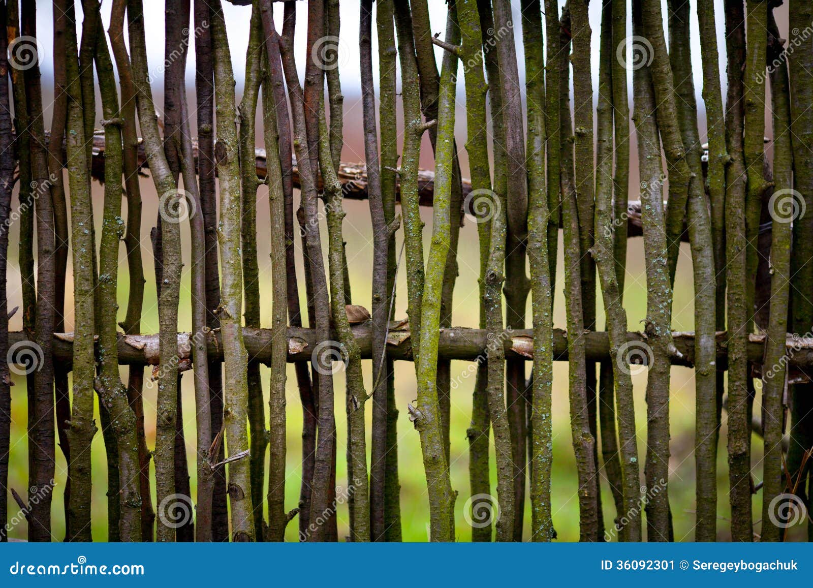 Rustic wicker fence stock image. Image of ornate, acacia 36092301