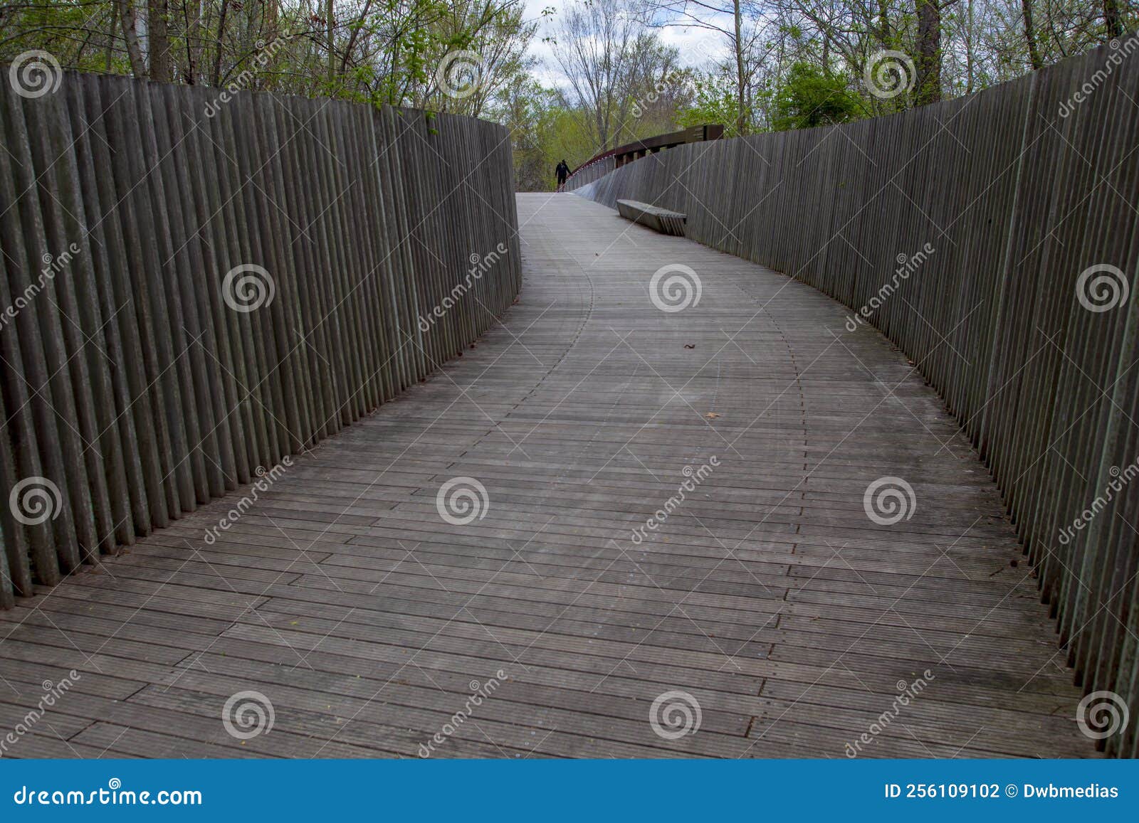 Rustic wood boards stock photo. Image of retro, aged 256109102